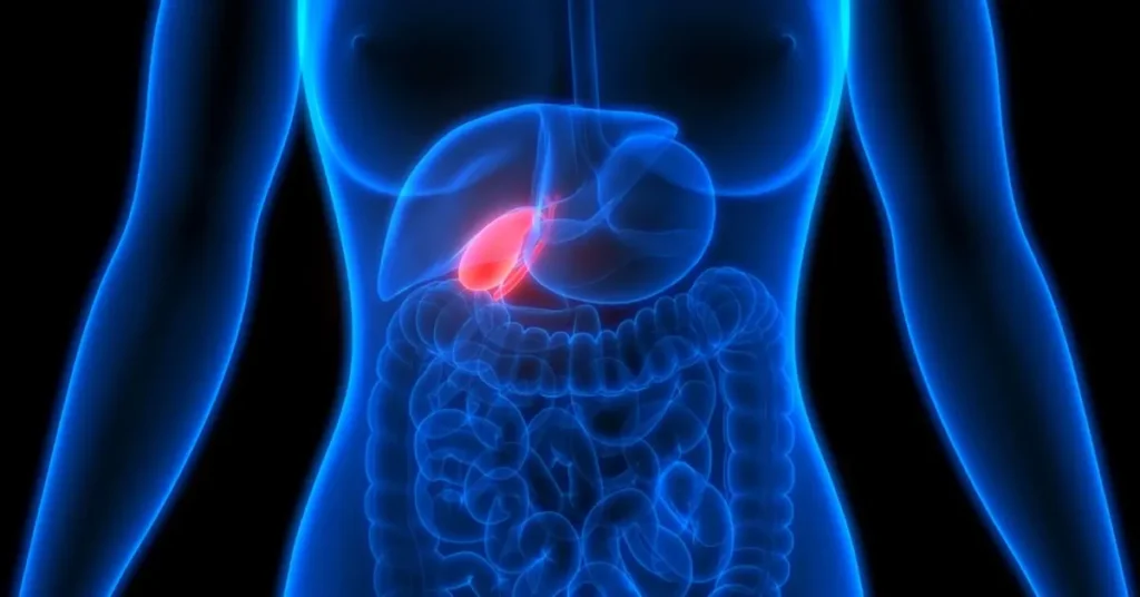 What Does the Gallbladder Do?